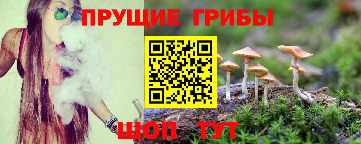 Галлюциногенные грибы Magic Shrooms Белая Калитва